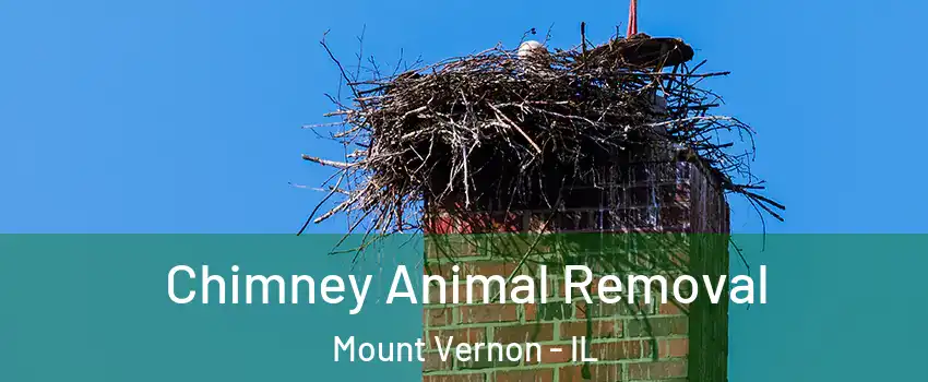 Chimney Animal Removal Mount Vernon - IL