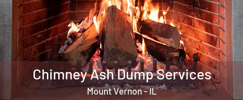  Chimney Ash Dump Services Mount Vernon - IL