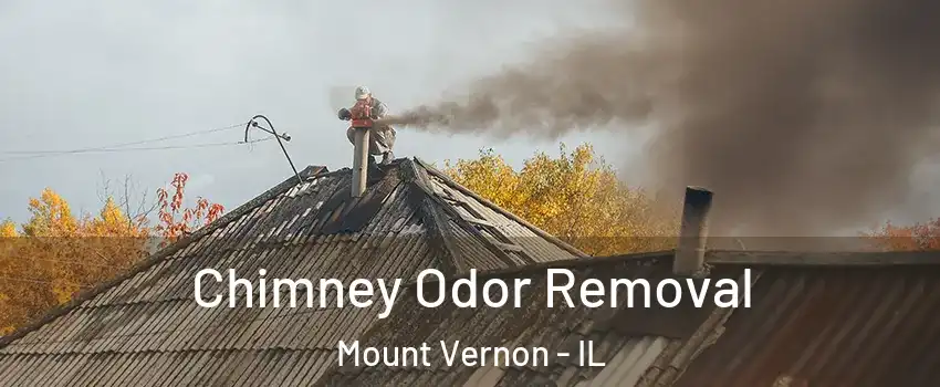  Chimney Odor Removal Mount Vernon - IL