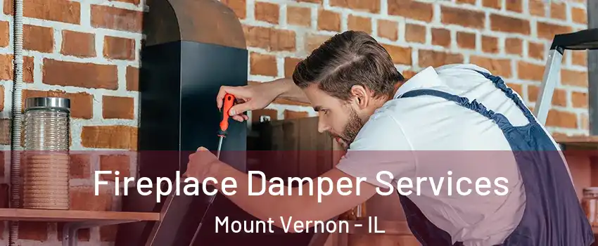  Fireplace Damper Services Mount Vernon - IL