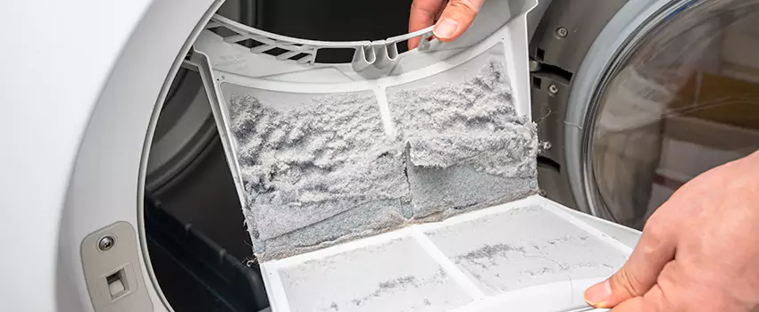 Best Dryer Lint Removal Company in Mount Vernon, Illinois