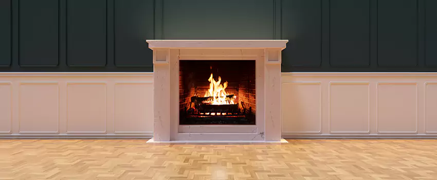 Napoleon Electric Fireplaces Inspection Service in Mount Vernon, Illinois