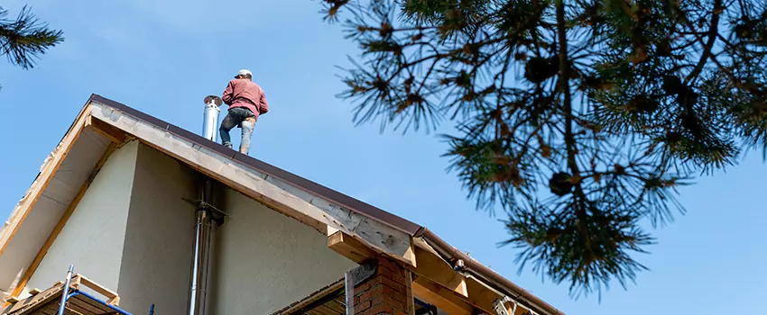 Birds Removal Contractors from Chimney in Mount Vernon, IL