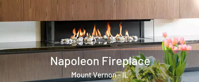  Napoleon Fireplace Mount Vernon - IL